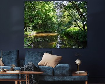 Entlang des Flusses von Naturfotografie Harald Reinl