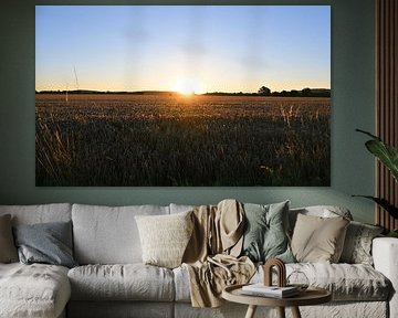 Letztes Licht am Horizont