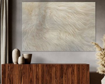 Full frame white fur background
