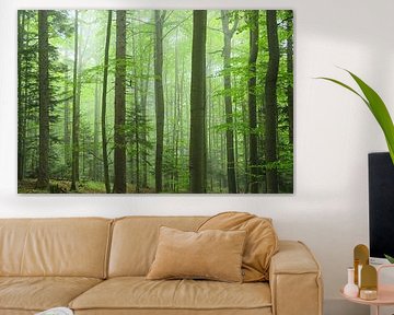 Mystery Carpathians wood