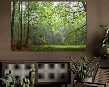 Mystery Carpathians wood