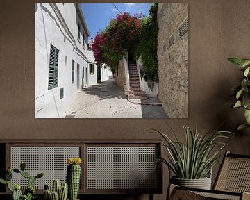 Dorf auf Mallorca von Matthias Spartz