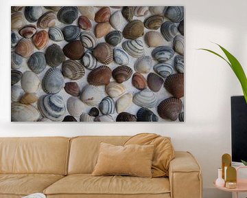 Treasures of Ebb and Flow