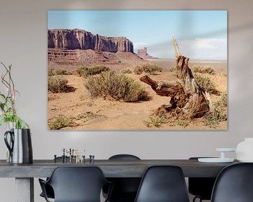 Amerikaans Westen - Monument Valley IV