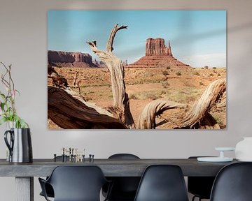 Amerikaans Westen - Monument Valley V