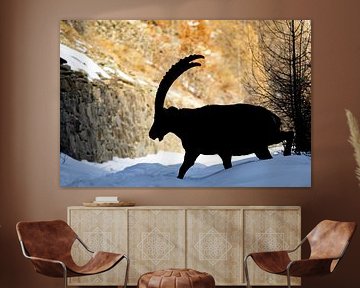 Capricorn silhouette in snow by Sam Mannaerts