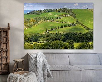 Zig zag away in Val d'Orcia, Tuscany, Italy by Adelheid Smitt