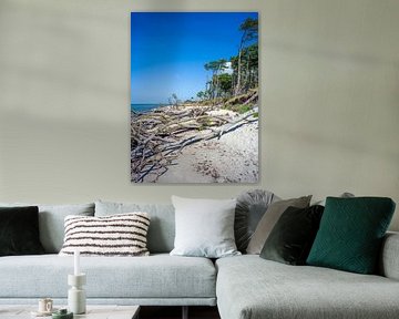 Fischland-Darß-Zingst (Baltic Sea) - Darßer Weststrand