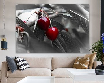 Red Cherry von Matthias Spartz