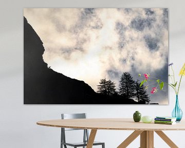 Gems silhouette by Sam Mannaerts