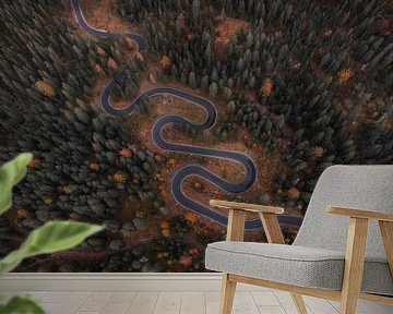 Snake Road Dolomieten Italië | Winding Road in Autumn Colors