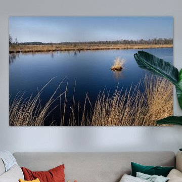 Landschaft im Pietzmoor