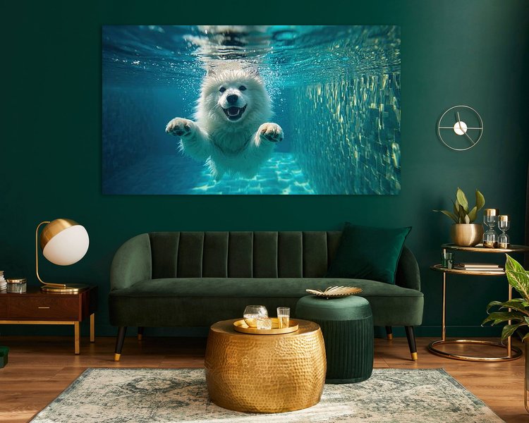 Aperçu de la chambre