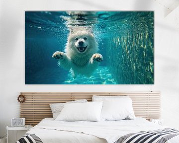 Le samoyède plonge sous l'eau sur Bo Valentino