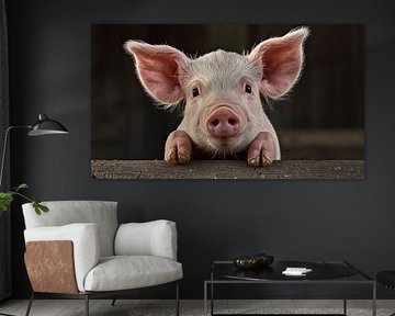 Close-up van een big