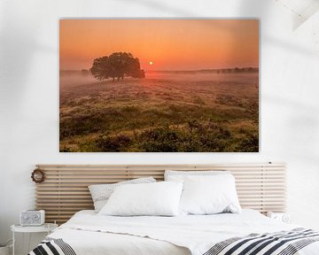 kleurrijke zonsopkomst van Sturm Unger