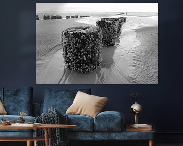 Grown pile heads, Westkapelle by Framed by Elisabeth