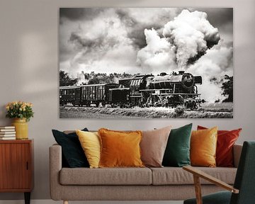 Stoomtrein rijdt op het platteland in zwart-wit van Sjoerd van der Wal Fotografie