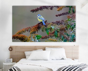 Pimpelmees van Sabrina de Vries