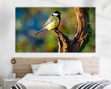 Meisenmaus von Sabrina de Vries