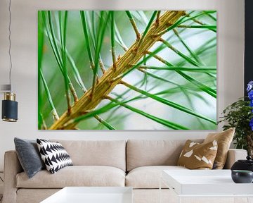Pine tree detail with fresh green needles by Sjoerd van der Wal Photography