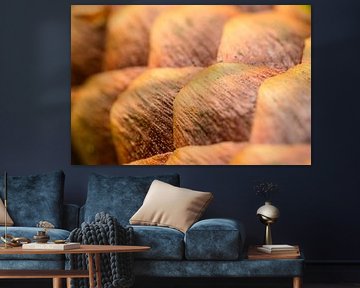 Kiefernzapfendetail auf dem Waldboden von Sjoerd van der Wal Fotografie