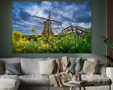 Mühle bei Leeuwarden - Niederländischer Himmel & blühender Vordergrund von Scarlett Bus