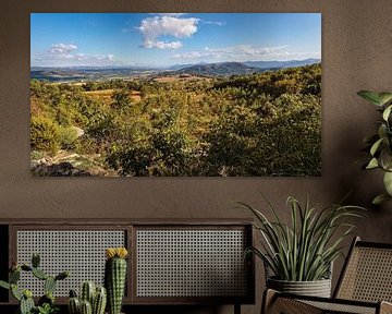 Citta di Castello by Rob Boon