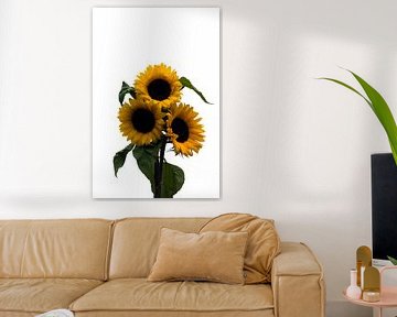 three sunflowers