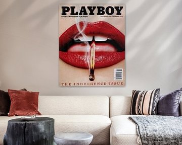 Playboy November 2013