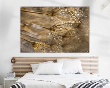Duvet doré avec des gouttelettes qui scintillent dans la lumière sur Marjolijn van den Berg