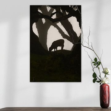 La nature dans la brume