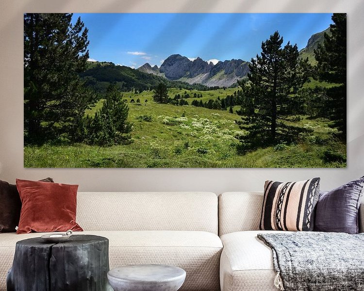 Aperçu de la chambre