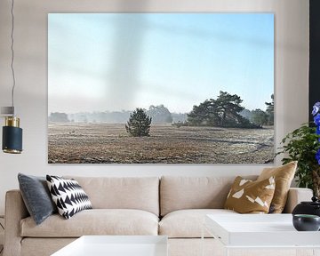 Brouillard sur le veluwe sur Albert Rap