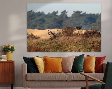 Aufwärmen in der Sonne von Albert Rap