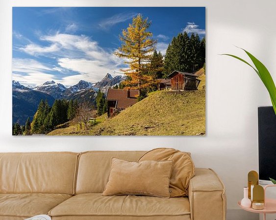 Aperçu de la chambre