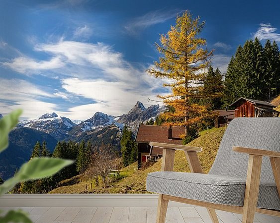 Aperçu de la chambre