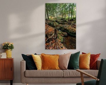 Herbstlandschaft im Wald mit einem kleinen Bach