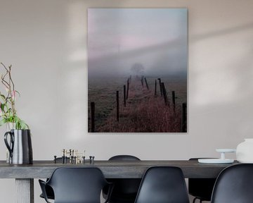 waiting in the fog by Yorick De Wilde