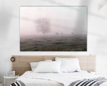 grazen in de mist van Yorick De Wilde