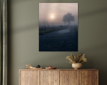 the lone oak by Yorick De Wilde