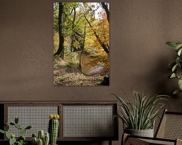 autumn forest in holland   van ChrisWillemsen