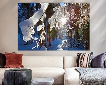 Snow magic on the Zauchbach