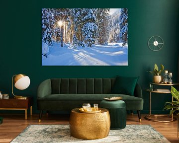 Sunlight in the forest