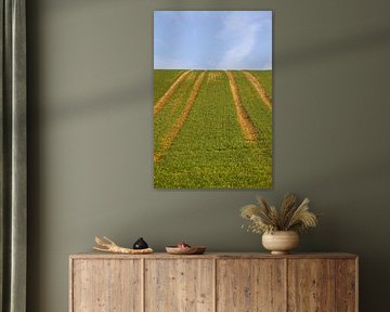 Vier Pfade in den Himmel von Frank Briske