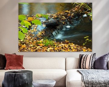 Autumn in the Waterloop forest by Martien Hoogebeen Fotografie