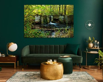 Water work in Waterloop forest by Martien Hoogebeen Fotografie