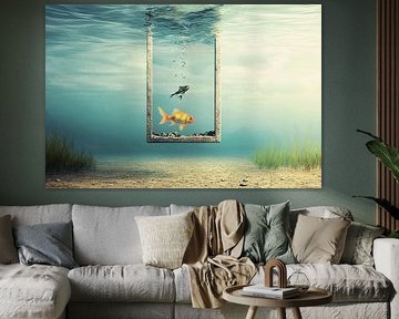 Das Fenster zur anderen Welt | Wo ein Goldfisch in den Himmel schaut und ein Mann in die Tiefe blickt