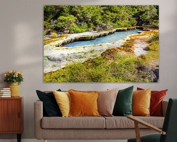 vulkanische aktivitäten in waimangu