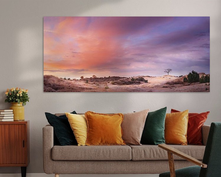 Aperçu de la chambre